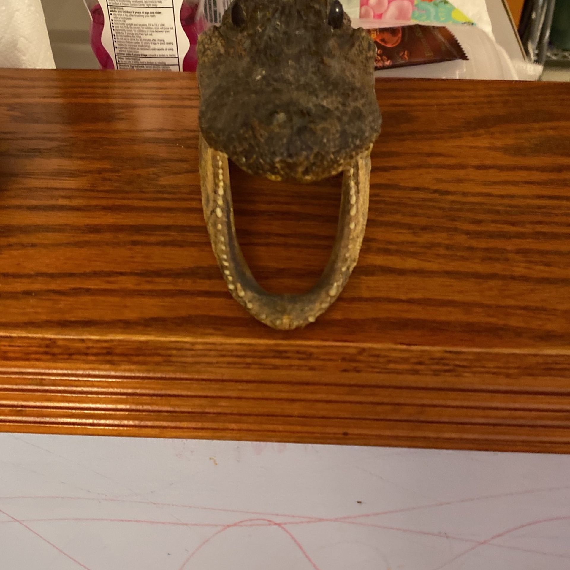 Aligator Head