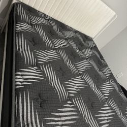 Bed frame And Mattress 