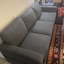 Two Nice Couches