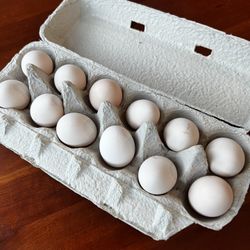 Silkie Hatching Eggs 
