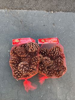 2 pack - Cinnamon Scented Pinecones Bag 6-12 Cones per bag MADE IN USA 🇺🇸