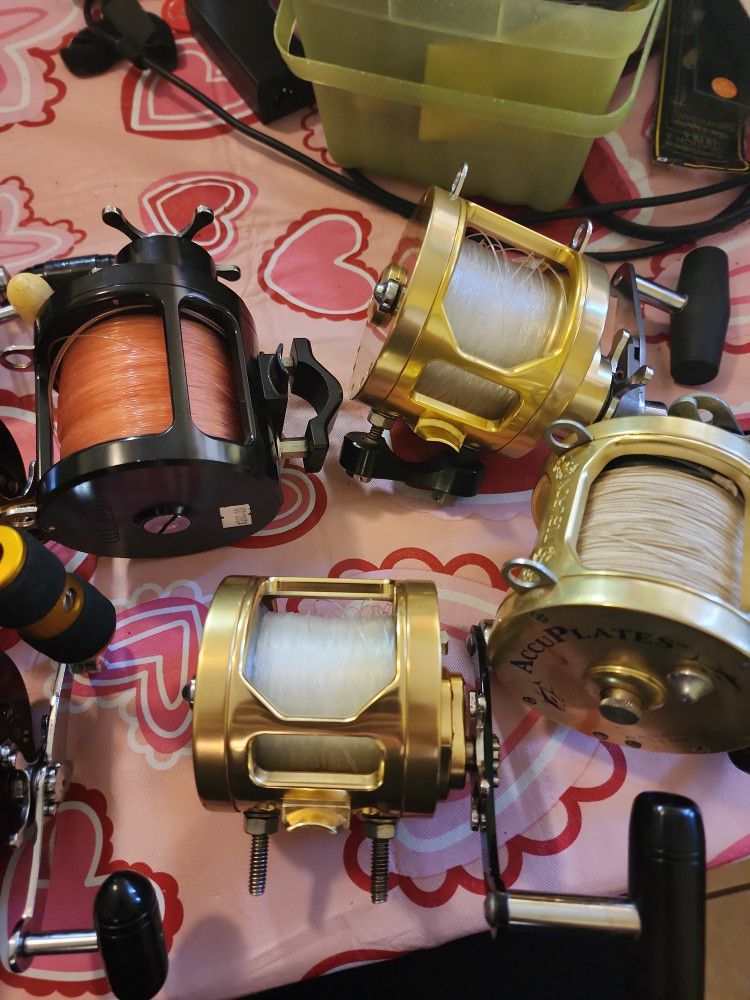Saltwater Fishing Reels Penn And Penn With Tiburon And Accurate