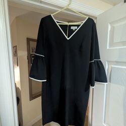 Calvin Klein Formal Cocktail Dress (12)