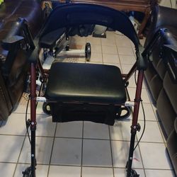 NEW HOMLAND  WALKER FOR ADULTS (350 LBS )
