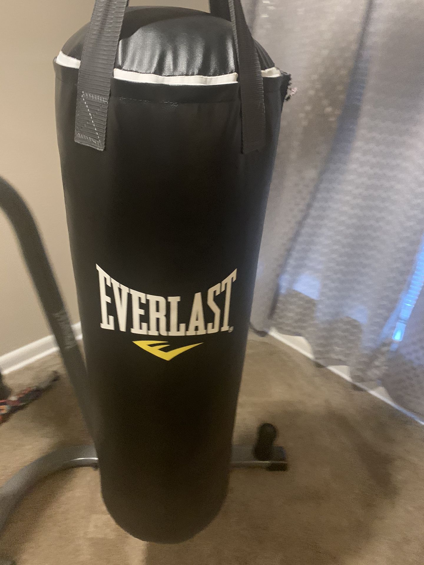 Everlast Punching Bag