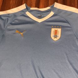 Authentic 2020 Uruguay Football/Soccer Jersey (no Back Print)