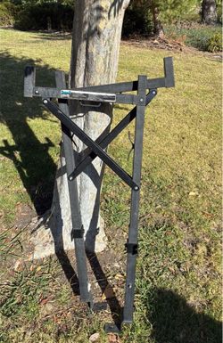 Ladder rack