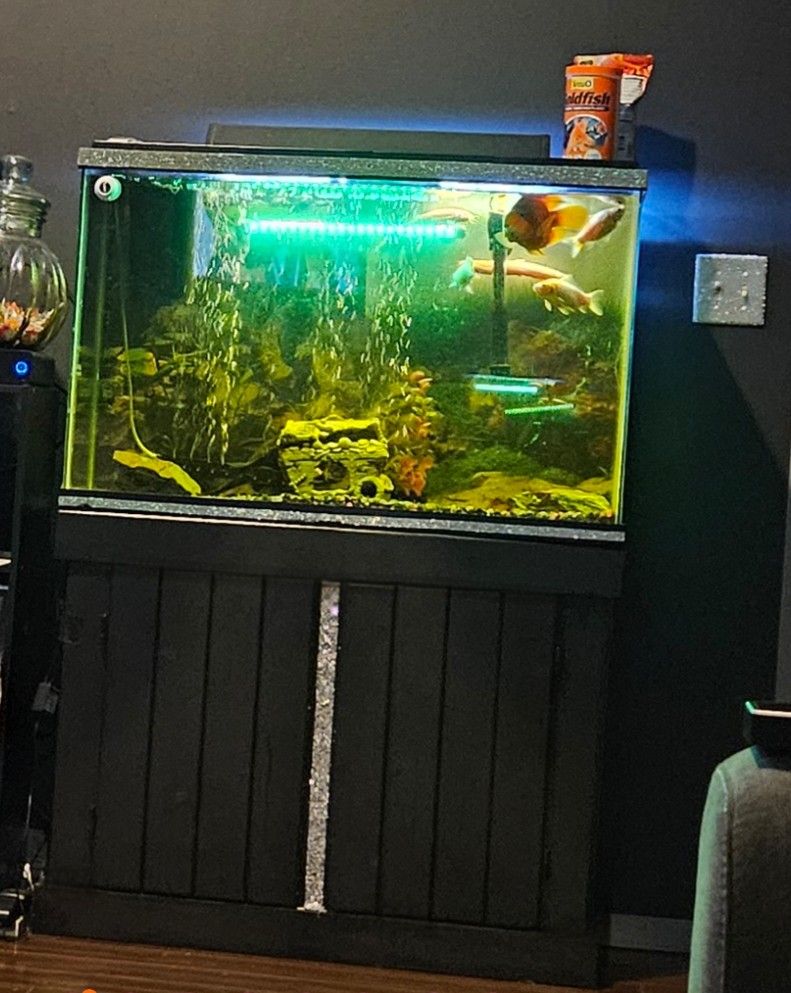 40-50 Gallon Fish Tank With Stand