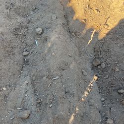 Free Dirt