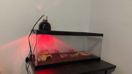 Reptile Tank