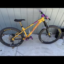 2022 Chameleon MEDIUM