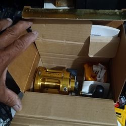 Gold Reel