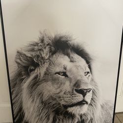 Wall art framed canvas