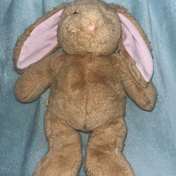 Build a bear little bunny big ears 