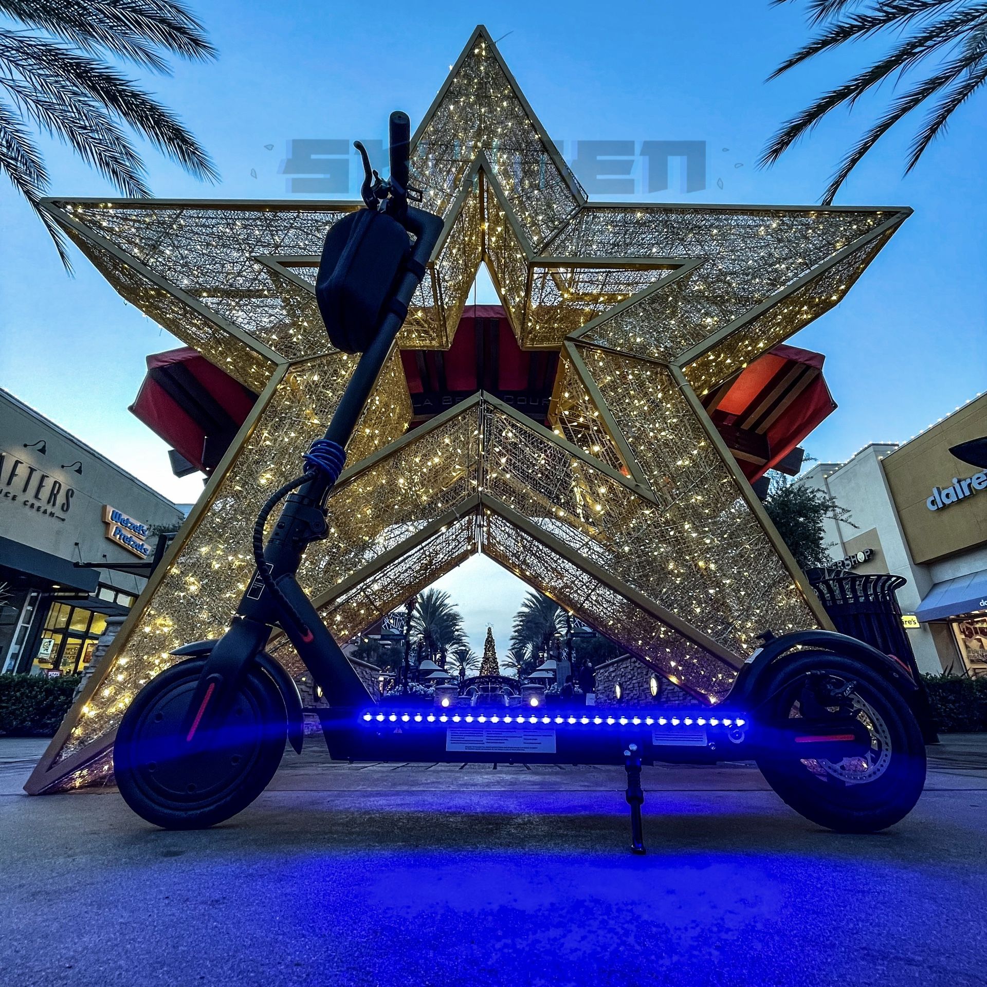 Electric Scooter