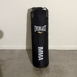 Everlast Punching Bag