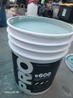 PRO e600 Flat Exterior Paint (color is like a pale aqua gray) really nice color *brand new