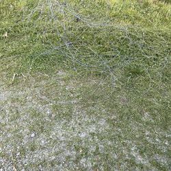 Free Fence Wire Used For Farm Animals