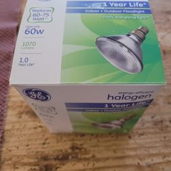 New GE 60W Halogen Floodlight Bulb & 5 FEIT Bulbs