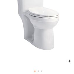 WaterRidge Single Flush One Piece Toilet (lightly used) $125