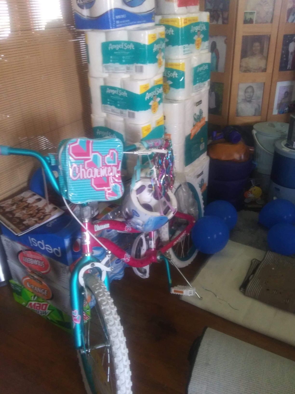 Girl Bike