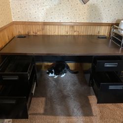 Vintage Steel Desk with Solid Veneer Top