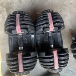 Bow flex dumbbells