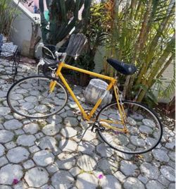 Vintage TAKARA Bike 12 speed