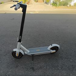 Ninebot  Kick Scooter G30lP Max