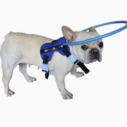 Heavy Duty Dog Collar 