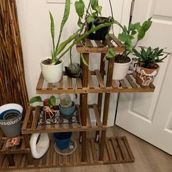 Plant Stand 