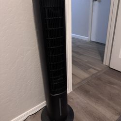 Fan