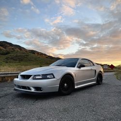 2001 Ford Mustang Cobra SVT