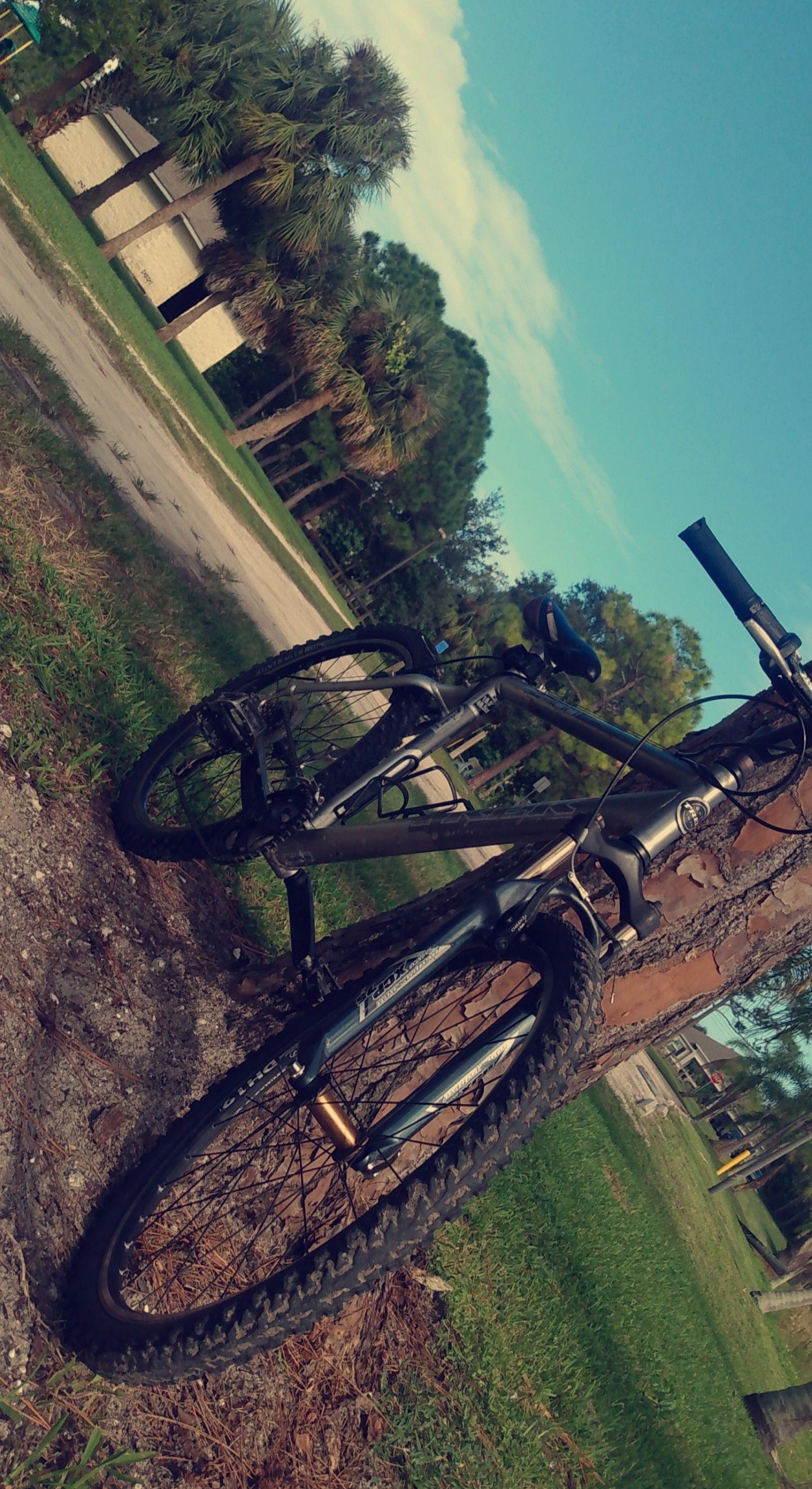 Trek mountain bike