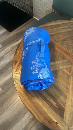 Dinasour Toddler Nap Mat