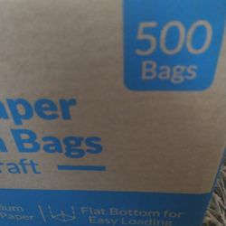New Lunch Bag 500 Bags 