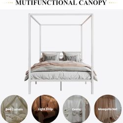 Canopy Bed