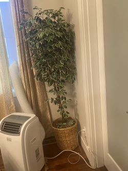 Artificial Plant