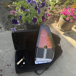 Beautiful 😻 Oscar Schmidt OS15B Autoharp : Musical Instruments-