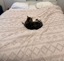 Cali King Mattress from Costco