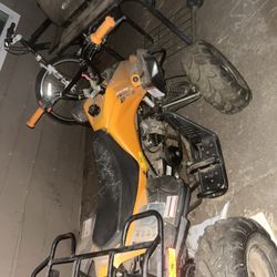 Yamazuki Quad 125cc Willing To Trade For Tuttio