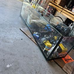 Fish Tank 
