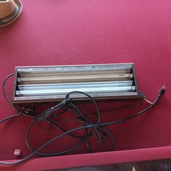 Intertek  T5  Brown 