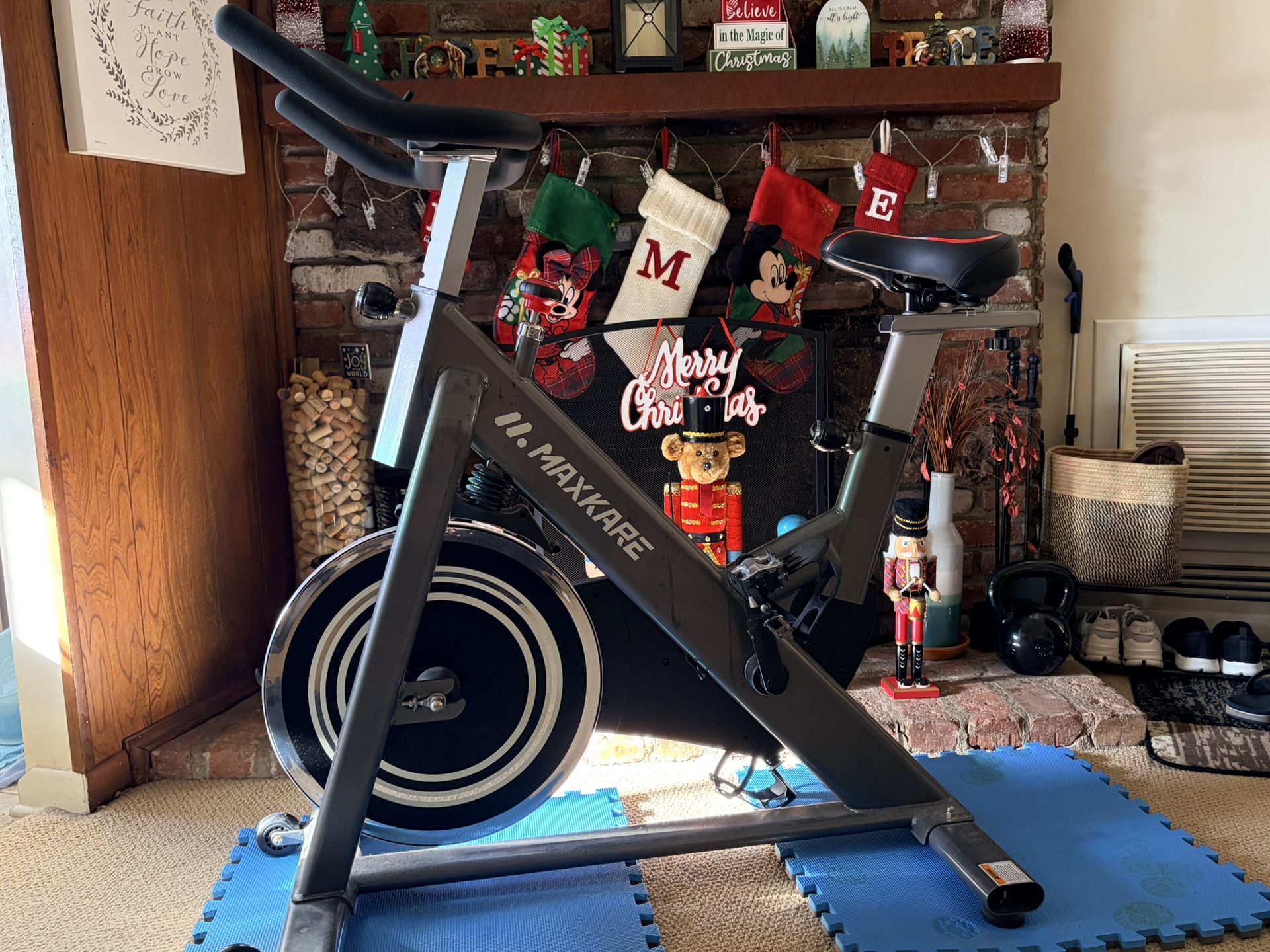 MaxKare Exercise Bike