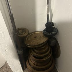 Bench Press Weight Equipment 