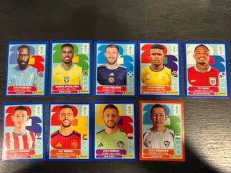 Blue and Red World Cup Panini Stickers