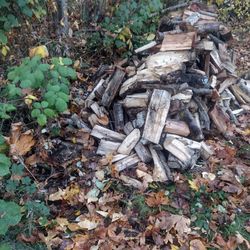 Firewood 
