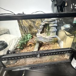Exo Terro With Waterfall 12x12x18