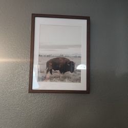 Set Of Two Framed Buffalo Pictures