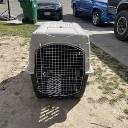 Large Dog Kennel